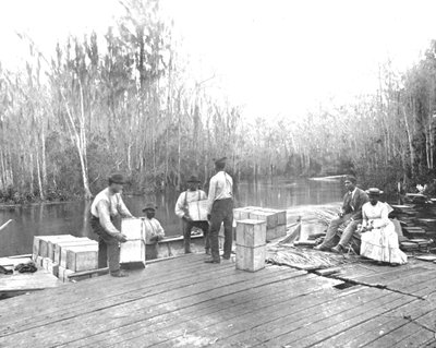 Laddar apelsiner på Ocklawaha River, Florida, USA, c1900. av Unbekannt