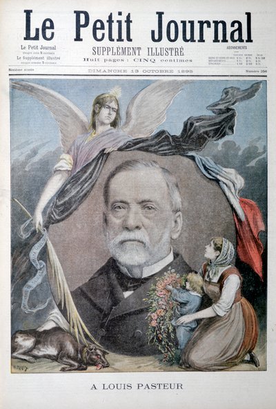 Louis Pasteur, fransk kemist, 1895 av Unbekannt
