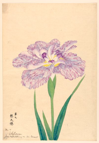 Love Meditating on Its Consort (Sofuren), nr 7, ca. 1910 av Unbekannt
