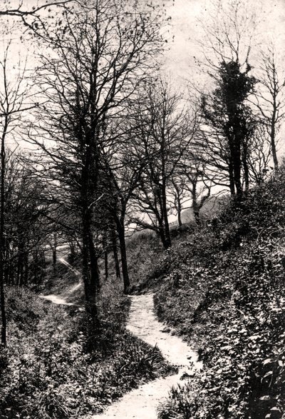 Lovers Lane, Fairlight, Hastings, Sussex av Unbekannt