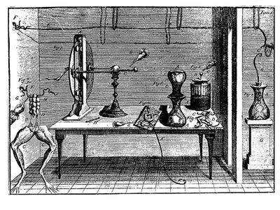 Luigi Galvanis experimenterar med elektricitet, 1791 av Unbekannt