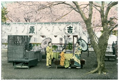 Lunchställ i en offentlig park, Japan, 1904 av Unbekannt