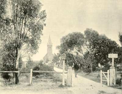 Lutherska kyrkan, Tanunda, 1901. av Unbekannt