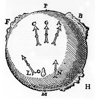 Magnetism, 1600 av Unbekannt