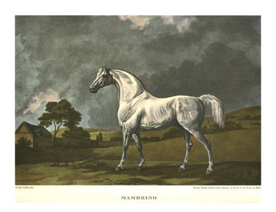 Mambrino, c1779, c1955. av Unbekannt