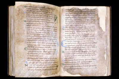 Manche N* 066, Mortains stad, skatten i Saint Evroults kollegiala kyrka, evangeliebok från 900-talet. av Unbekannt