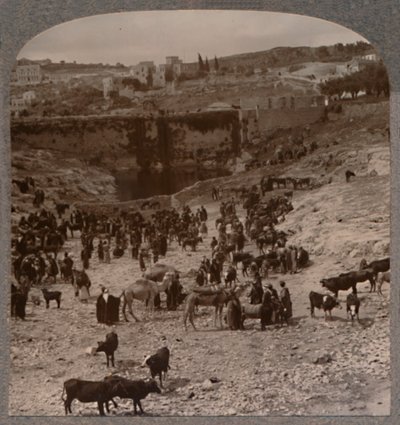 Marknadsdag vid Gihons pool, c1900 av Unbekannt