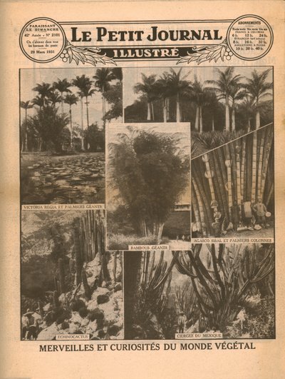 Underverk och kuriosa i växtvärlden, 1931. av Unbekannt
