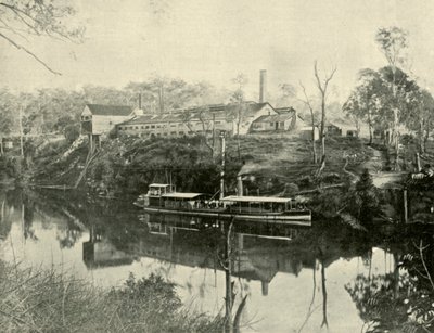 Meat Works, nära Grafton, New South Wales, 1901. av Unbekannt