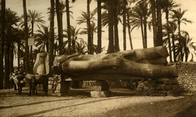 Memphis - Den kolossala statyn av Ramses II, c1918-c1939. av Unbekannt