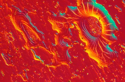 Mikrofotografier (Lätt) Rostfritt stål med kolloidal kiseldioxidavlagring av Unbekannt