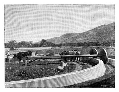 Kvarn för skalning av kaffe, Centralamerika, c1890 av Unbekannt