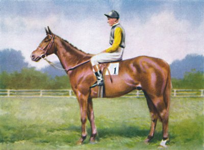 Morsekod, Jockey: D. Morgan, 1939 av Unbekannt