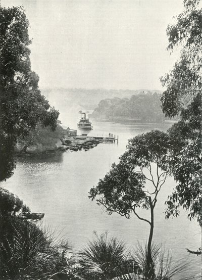 Mosmans Bay, från Cremorne Jetty, c1900. av Unbekannt