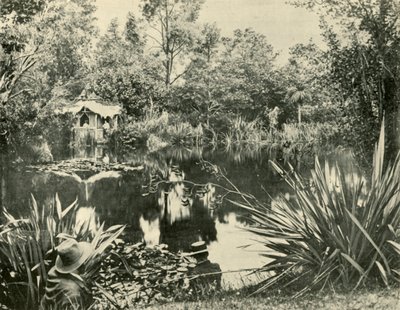 Mr. Ryans Gardens, Mount Macedon, Victoria, 1901. av Unbekannt