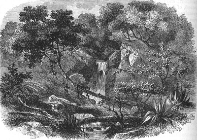 Nya Zeelands landskap, c1880 av Unbekannt