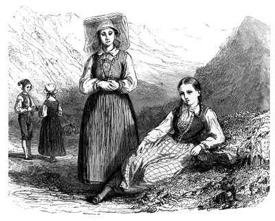 Norrmän i Lovardalsskard, c1890 av Unbekannt