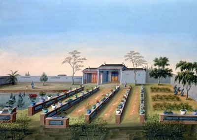 Plantskola, Kina, c1820-1840 av Unbekannt