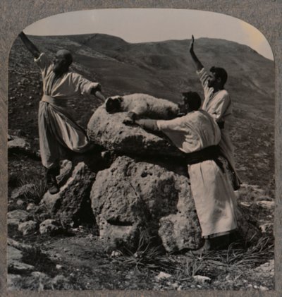 Offer av lamm på Altaret, Moreh, c1900 av Unbekannt