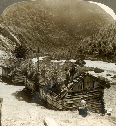 Gamla timmerhus i Bratslandsdal, med träd som växer på torvtäckta tak, Norge, c1905. av Unbekannt