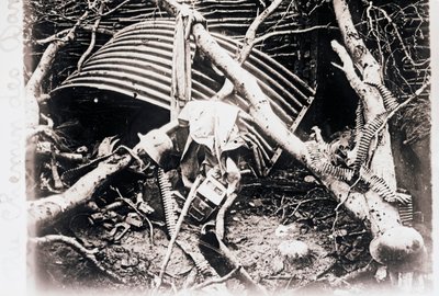 På Chemin des Dames, norra Frankrike, c1914-c1918 av Unbekannt