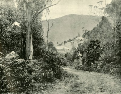 På Illawarra Road, N.S.W., 1901. av Unbekannt