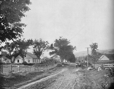På vägen till Echo Lake, White Mountains, New Hampshire, c1897. av Unbekannt