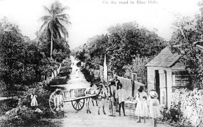På vägen till Blue Hills, Bahamas, ca 1900-talet av Unbekannt