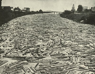 På väg till sågverken, c1948. av Unbekannt