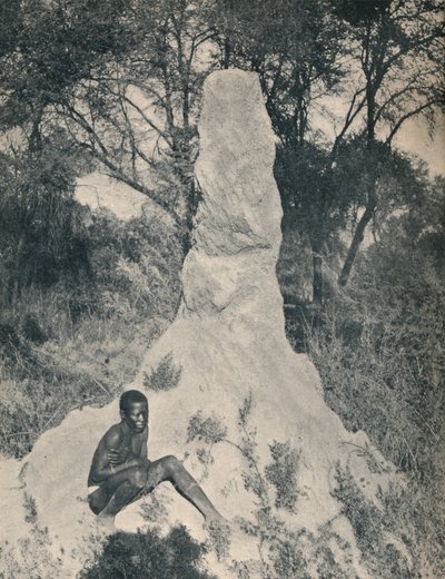 En av jättemyrhögarna som är speciella för vissa distrikt i Sydafrika, ca 1900. av Unbekannt
