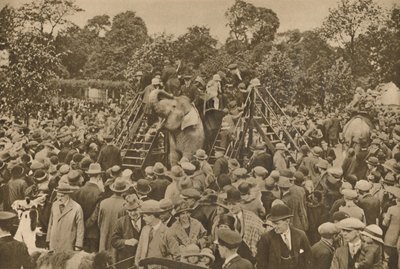Ett av tecknen på vår civilisation: välfyllda zoologiska trädgårdar för att glädja de nyfikna, c193 av Unbekannt