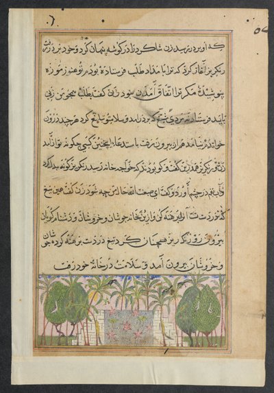 Sida från Tales of a Parrot Tuti-nama: Åttonde natten: Landskap med en lotuspool, ca. 1560. av Unbekannt