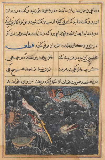 Sida från Tales of a Parrot Tuti-nama: Elfte natten: Havets varelser, ca. 1560. av Unbekannt