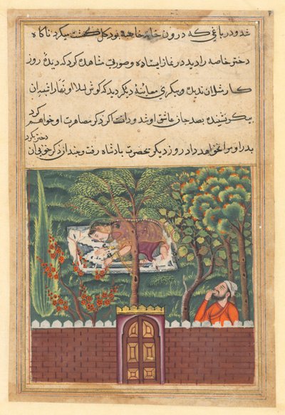 Sida från Tales of a Papegoja Tuti-nama: Femtioförsta natten: Khulasa, en vesir, ser..., c1560. av Unbekannt