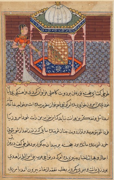 Sida från Tales of a Parrot Tuti-nama: Femtioandra natt: Papegojan tilltalar Khujasta..., c1560 av Unbekannt