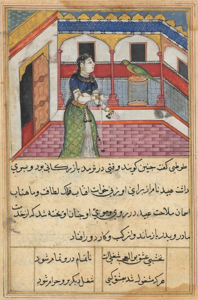 Sida från Tales of a Papegoja Tuti-nama: Fyrtioandra natt: Papegojan tilltalar..., ca. 1560. av Unbekannt