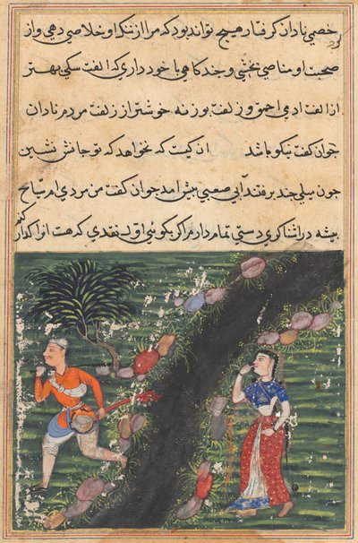 Sida från Tales of a Papegoja Tuti-nama: Sextonde natten: Vagabonden korsar..., ca. 1560. av Unbekannt