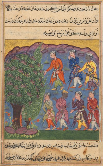 Sida från Tales of a Papegoja Tuti-nama: Sjätte natten: Sju män som bestrider innehav..., ca. 1560. av Unbekannt