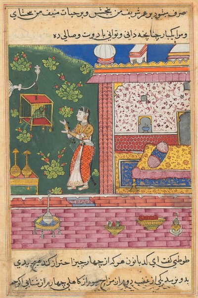 Sida från Tales of a Parrot Tuti-nama: Trettionde natten: Papegojan tilltalar Khujasta..., ca. 1560. av Unbekannt
