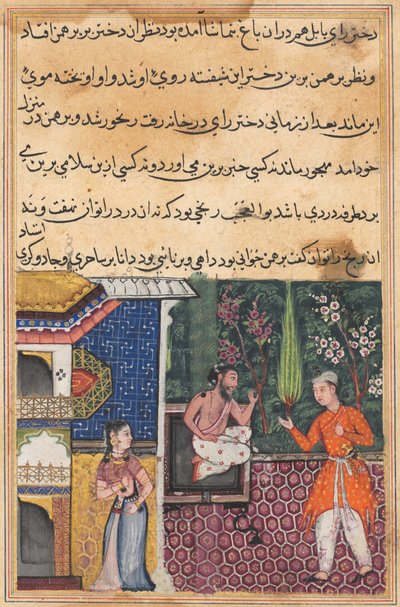 Sida från Tales of a Papegoja Tuti-nama: Trettiofemte natten: Brahmanen ger..., ca. 1560. av Unbekannt