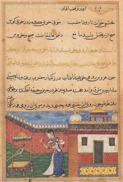 Sida från Tales of a Parrot Tuti-nama: Trettioandra natt: Papegojan tilltalar Khujasta..., c156 av Unbekannt
