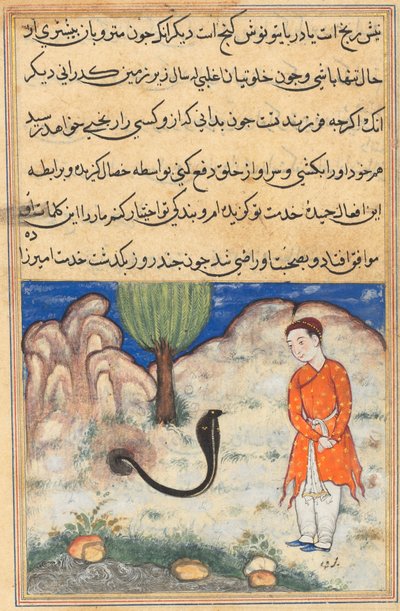 Sida från Tales of a Papegoja Tuti-nama: Trettiosjunde natten: Prinsen..., ca. 1560. av Unbekannt