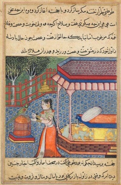 Sida från Tales of a Parrot Tuti-nama: Trettiosjätte natten: Papegojan tilltalar Khujasta..., ca. 15 av Unbekannt