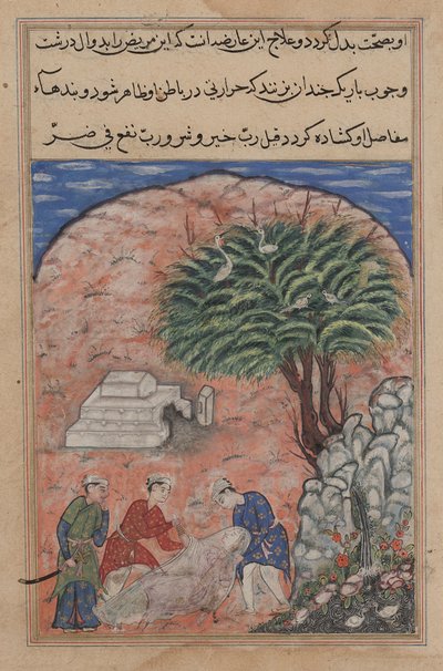 Sida från Tales of a Parrot Tuti-nama: Tjugonde natten: Friarna tar..., ca. 1560. av Unbekannt