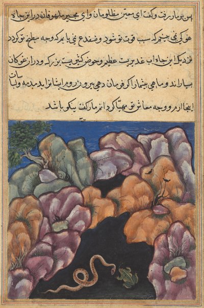 Sida från Tales of a Parrot Tuti-nama: Tjugosjätte natten: Ormen kommer in..., ca. 1560. av Unbekannt