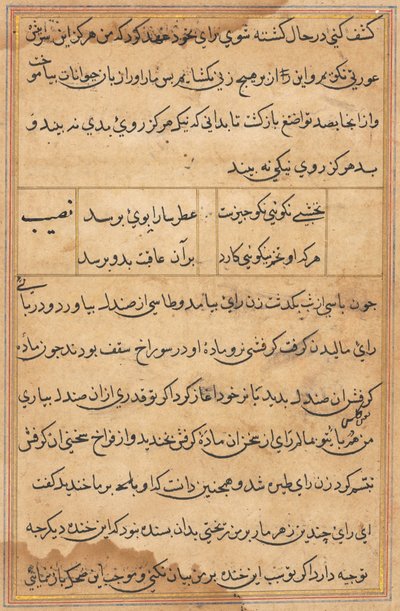 Sida från Tales of a Parrot Tuti-nama: textsida, ca. 1560. av Unbekannt