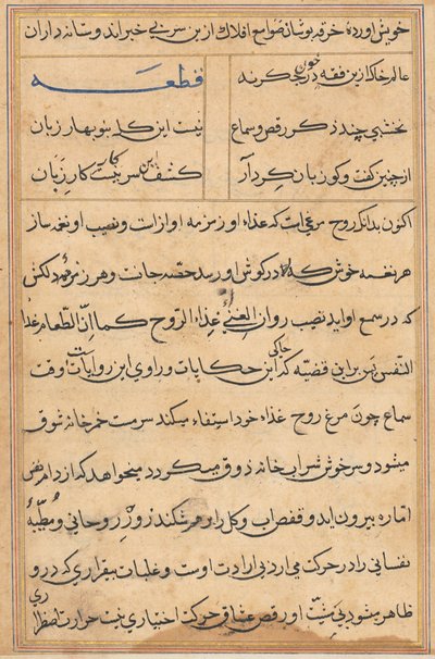 Sida från Tales of a Parrot Tuti-nama: textsida, ca. 1560. av Unbekannt