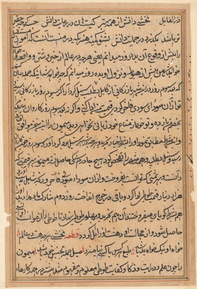 Sida från Tales of a Parrot Tuti-nama: textsida, ca. 1560. av Unbekannt