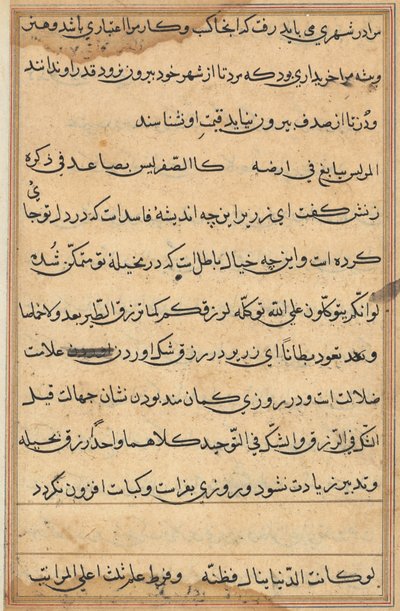 Sida från Tales of a Parrot Tuti-nama: textsida, ca. 1560. av Unbekannt