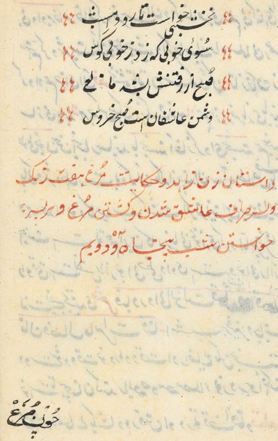 Sida från Tales of a Parrot Tuti-nama: textsida, ca. 1560. av Unbekannt